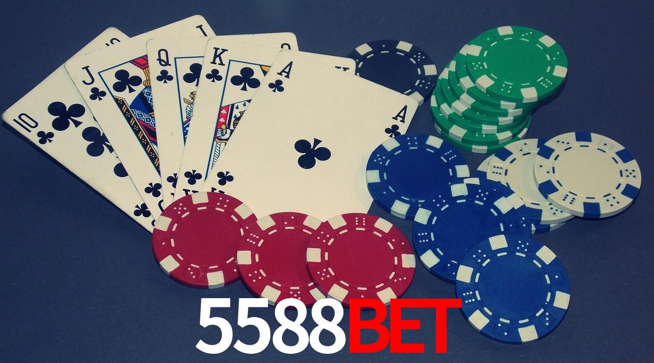 Experiência VIP 5588BET