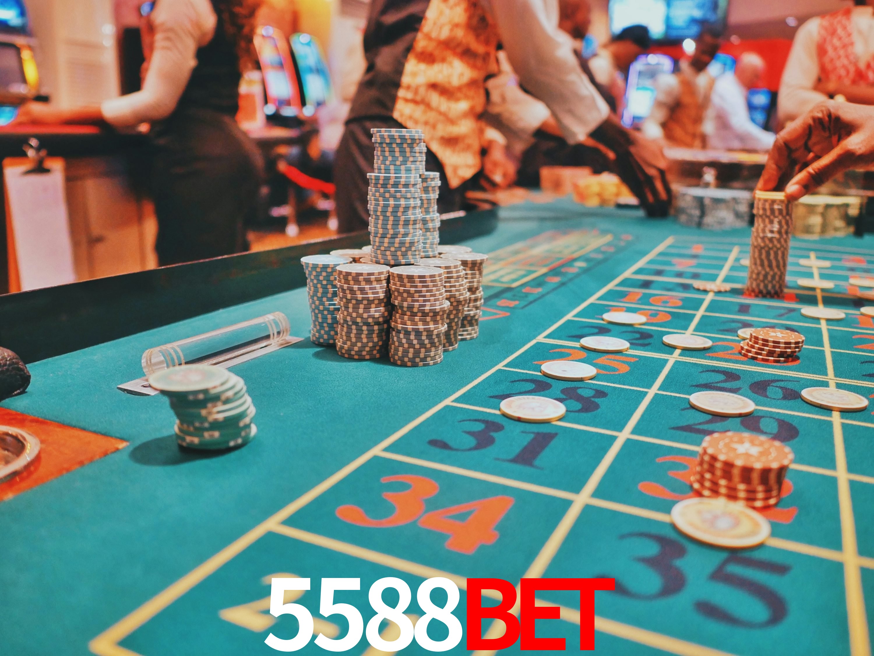 Sports Statistics 5588BET